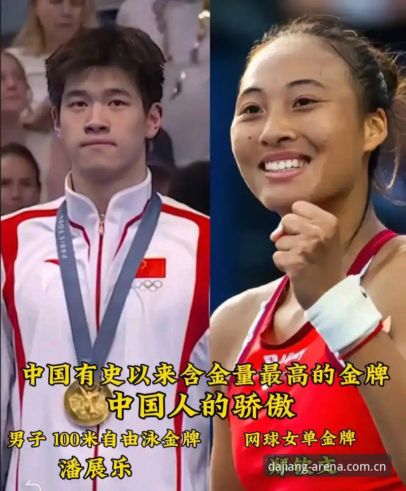 大江体育2024版对比详解